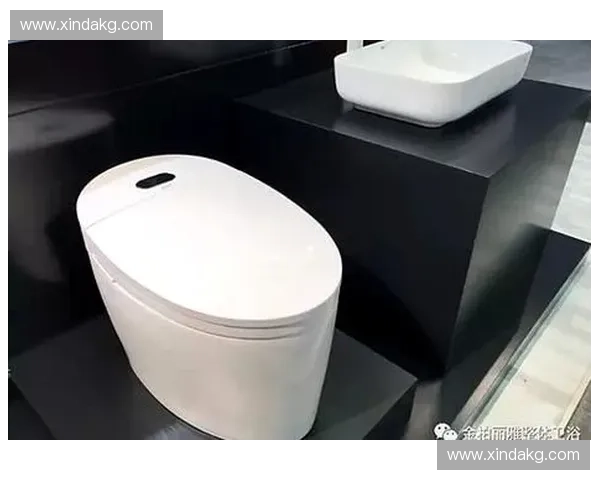 智能马桶引领家庭智能化革新提升生活质量与健康水平的全新趋势